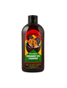 Sweet Georgia Brown Cocoanut Oil Shampoo